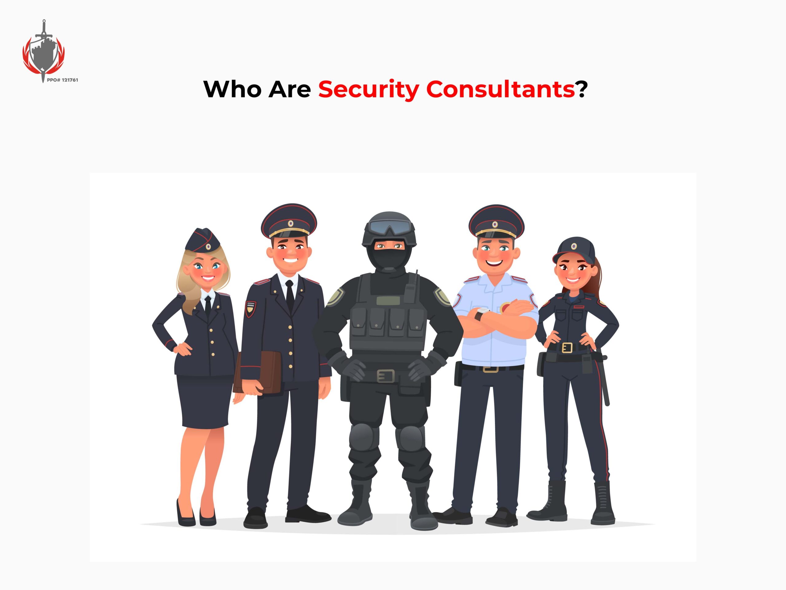 Who Are Security Consultants?